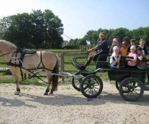 photo Equitation, centre equestre du g�te loisirs mery Mery Sur Seine 3474