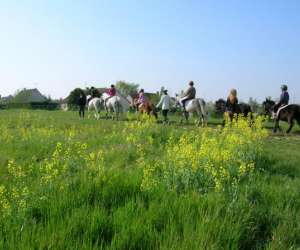 photo Equitation, centre equestre du g�te loisirs mery Mery Sur Seine 3475
