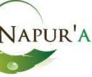 Napur