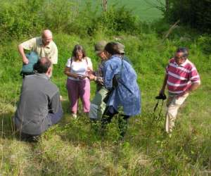 Plantes Et  Savoirsen   Ardennes  - Ateliers, Visites  