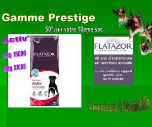 photo Oh my dog ! distributeur Ville Sur Tourbe 3829
