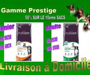 photo Oh my dog ! distributeur Ville Sur Tourbe 3831
