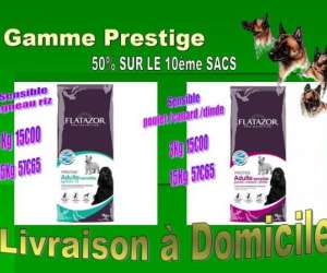 photo Oh my dog ! distributeur Ville Sur Tourbe 3832