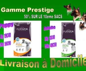photo Oh my dog ! distributeur Ville Sur Tourbe 3833