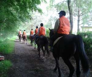 Tourisme Equestre- Les Balades  Cheval Croix Colas