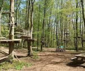 photo Grimpobranches reims Witry Les Reims 4412