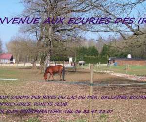 photo Ecuries des iris Eclaron Braucourt Ste Liv 3766