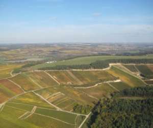 photo Aroclub de la cte des bars Celles Sur Ource 3604