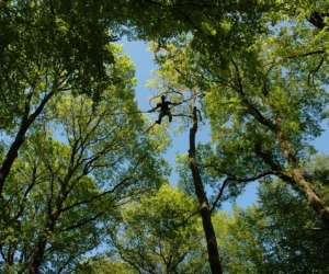 photo Acro'cimes parc Thienans 2858