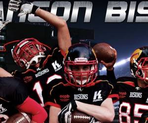 Besancon Bisons