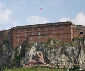 Lion De Belfort Gardien Monument