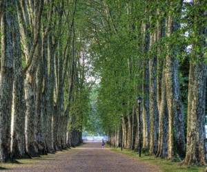 Parc De Chamars