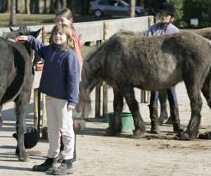 Centre Equestre Des Boulingrins