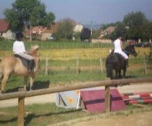 photo Les ecuries des chenevieres Montagney 2609