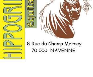 Sellerie Hippogriffe Equitation