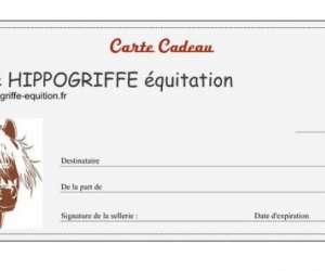 photo Sellerie hippogriffe equitation Navenne 3017