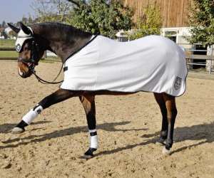 photo Sellerie hippogriffe equitation Navenne 3018