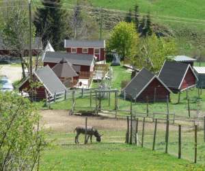 photo Le pays des rennes La Pesse 3095
