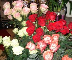 photo Corolles fleurs Pont De Roide 3102
