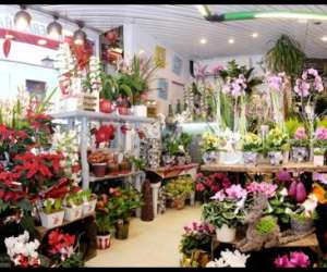 photo Corolles fleurs Pont De Roide 3406