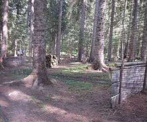 photo Originale section paintball Les Fourgs 3132