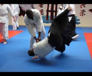 photo Buc aikido   franche - comte Besancon 3507