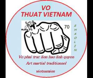 photo Vo thuat vietnam   Vesoul 3749