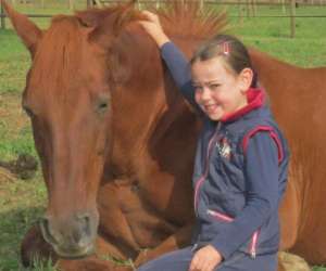 photo Poney club l'oxer Noidans Le Ferroux 3852