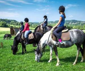 Ferme Equestre De La Fort De Chailluz