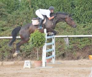photo Centre equestre la cravache Maiche 2762