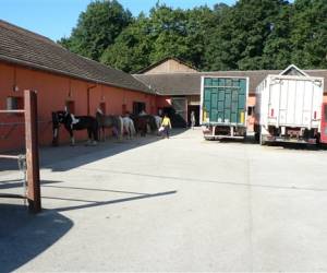 Centre Omnisports Pierre Croppet Ecole Equestre