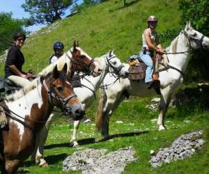 Relais Equestre Les Seignes