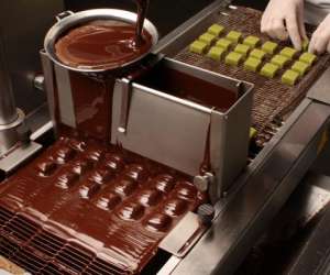 photo Le criollo chocolatier Chalezeule 3324
