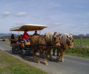 photo La ferme du pre fleuri Sermentizon 2378