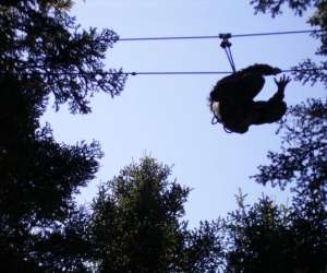 photo Foret aventure cunlhat Cunlhat 4414