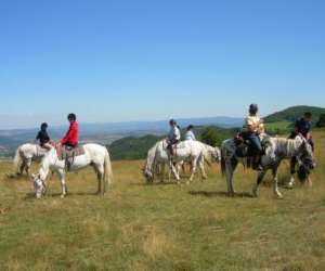 Centre Equestre