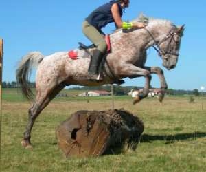 photo Centre equestre Saugues 2534