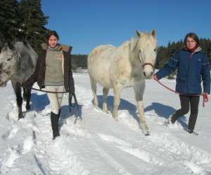 photo Centre equestre Saugues 2552