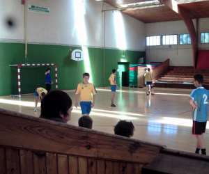 photo Vichy val d'allier handball Vichy 2588