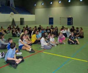 photo Vichy val d'allier handball Vichy 3923