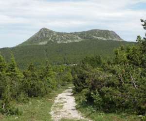 photo Gite l'epi de ble         massif du mzenc  St Front 2789