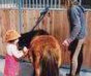 photo Cheval des hautes terres Tence 3079