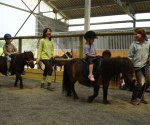 photo Cheval des hautes terres Tence 3080