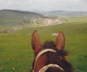 photo Cheval des hautes terres Tence 3084