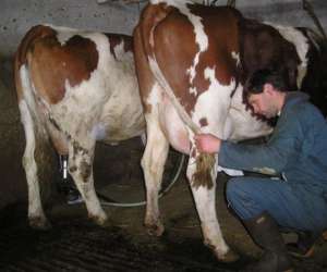 Ferme La Clef Des Champs