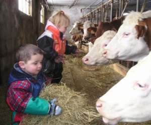 photo Ferme la clef des champs Besse Et St Anastaise 3091