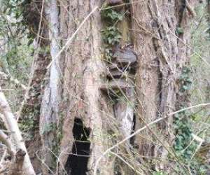 photo Cl�nature Lempdes 3225