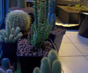 photo Growshop auvergne bio & hydro Clermont Ferrand 3631