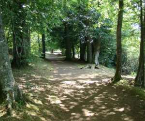photo Grand-gite la-cabourne - saint-privat-d-allier - haute-loire St Privat D Allier 5203