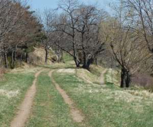 Auvergne Sophrologie Auvergne Sophrologie